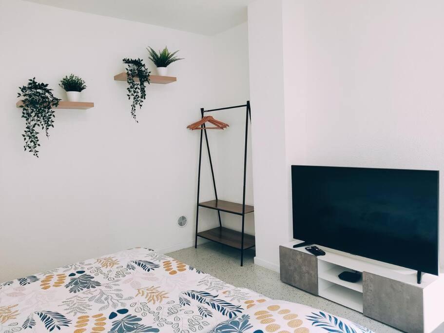 Magnifique Appartement T3 50 M2 オベルネ エクステリア 写真